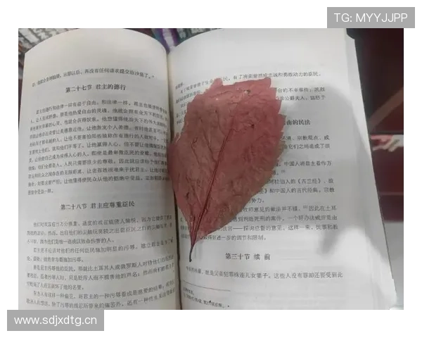 《被遗忘的女儿》：一段被时光尘封的破碎往事，一次颠覆认知的窒息追寻